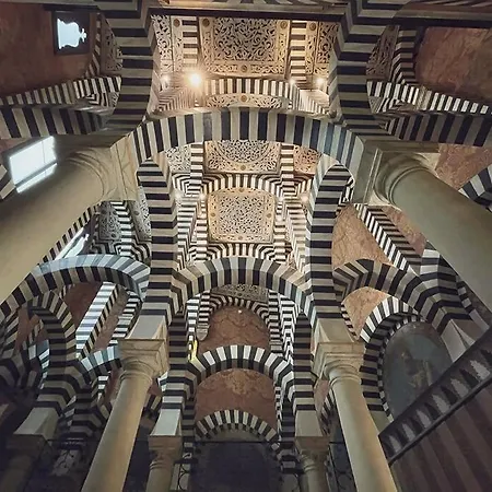 The Attico Chic Urban Free Parking * Bologna